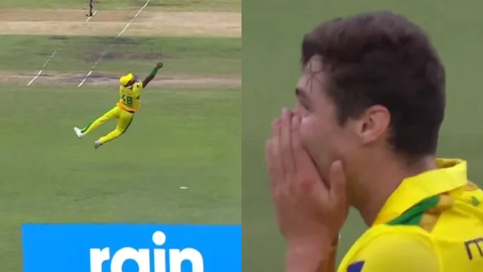 WATCH: Romario Shepherd's Jaw-Dropping Catch Steals The Show In SA20